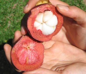 How to open purple mangosteen