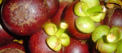 mangosteen