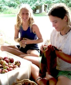 wyalla gardens visa working on farm qld